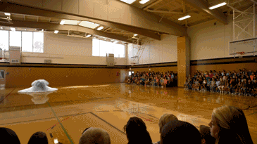 1.gif