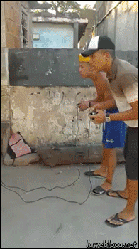 5.gif