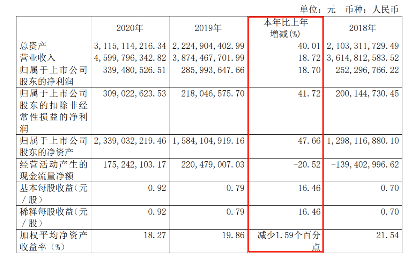 丽人丽妆年报图片