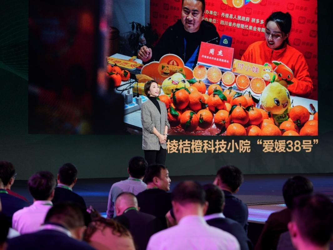 图片5.jpg