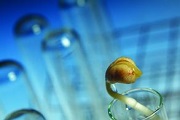生物科技领涨美股 国内相关主题基金上哪找？