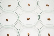 平安证券：从医改进程中寻找生物医药投资机会