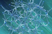 纳斯达克生物医药指数为何能成为美国最牛指数？
