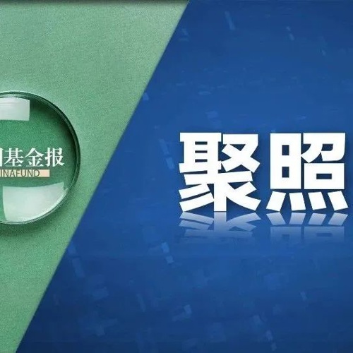 杠杆！激进？揭底350亿“国城系”